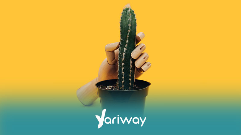 علائم سادیسم جنسی زنان و مردان