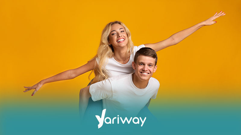 دمستیک پارتنر کیست