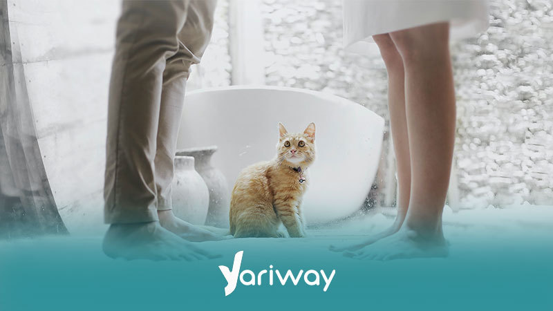 عوامل تاثیر گذار در رابطه جنسی در دوران دوستی